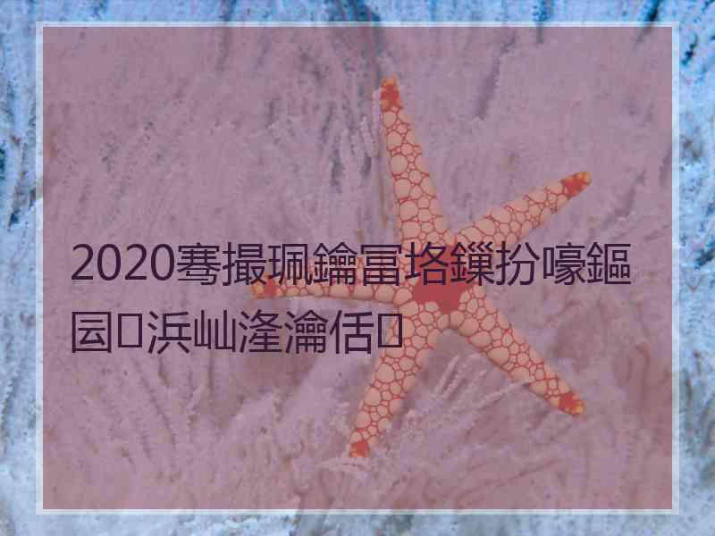 2020骞撮珮鑰冨垎鏁扮嚎鏂囩浜屾湰瀹佸