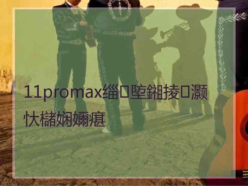 11promax缁埅鎺掕灏忕櫧娴嬭瘎