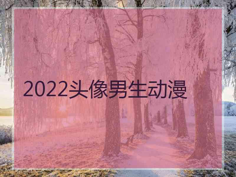 2022头像男生动漫