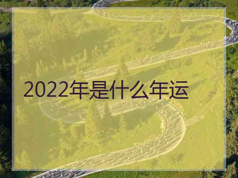 2022年是什么年运