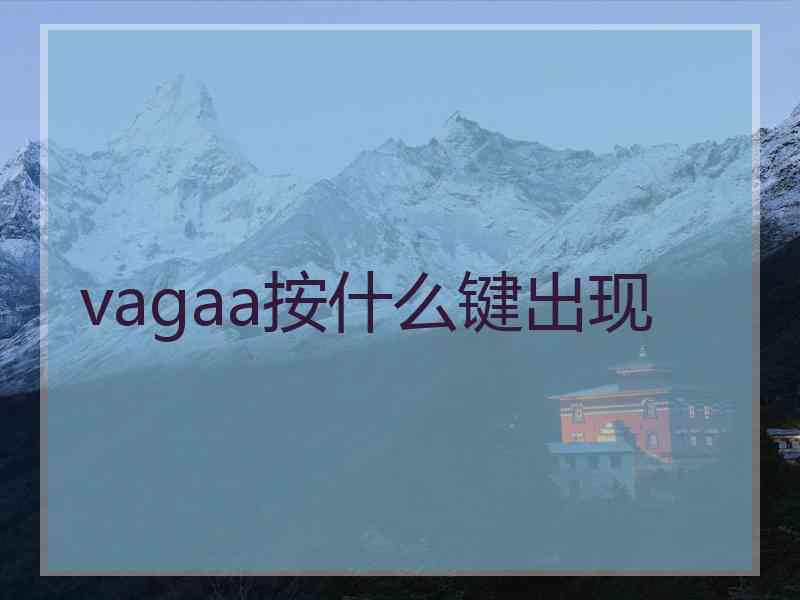 vagaa按什么键出现