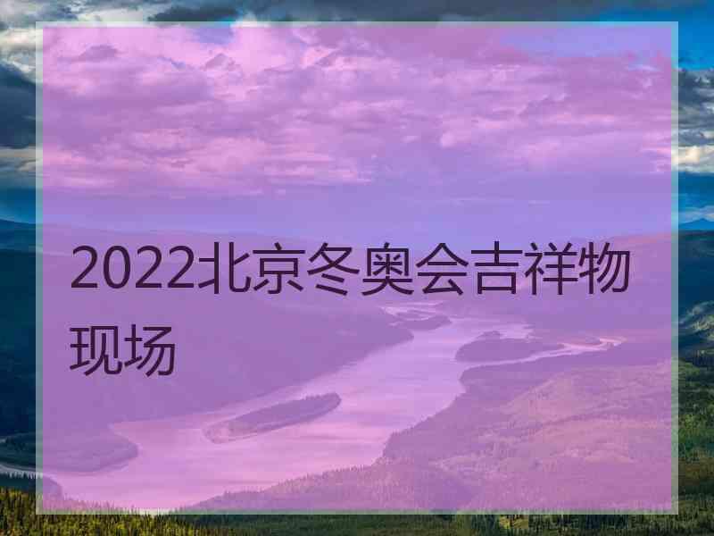 2022北京冬奥会吉祥物现场