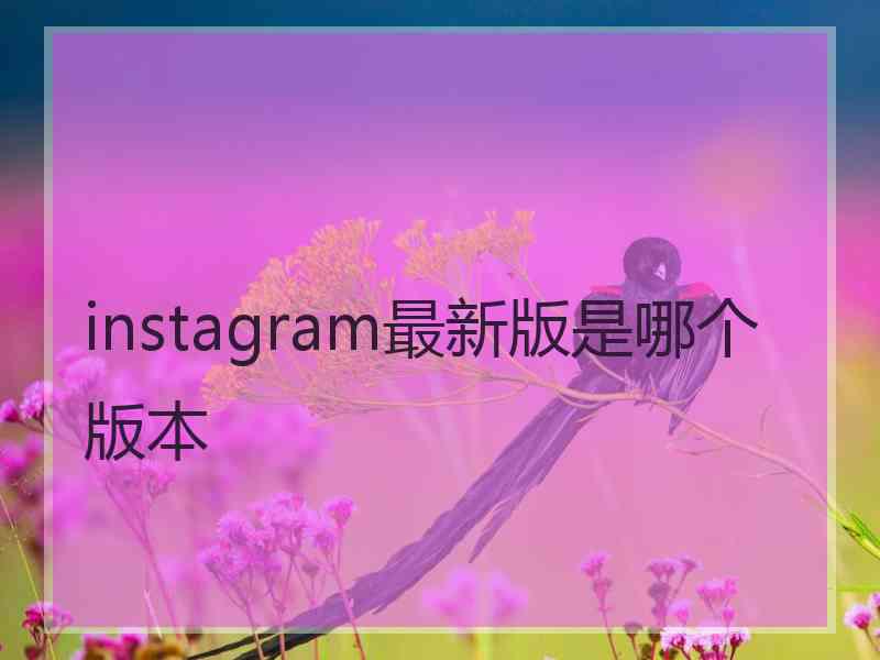 instagram最新版是哪个版本