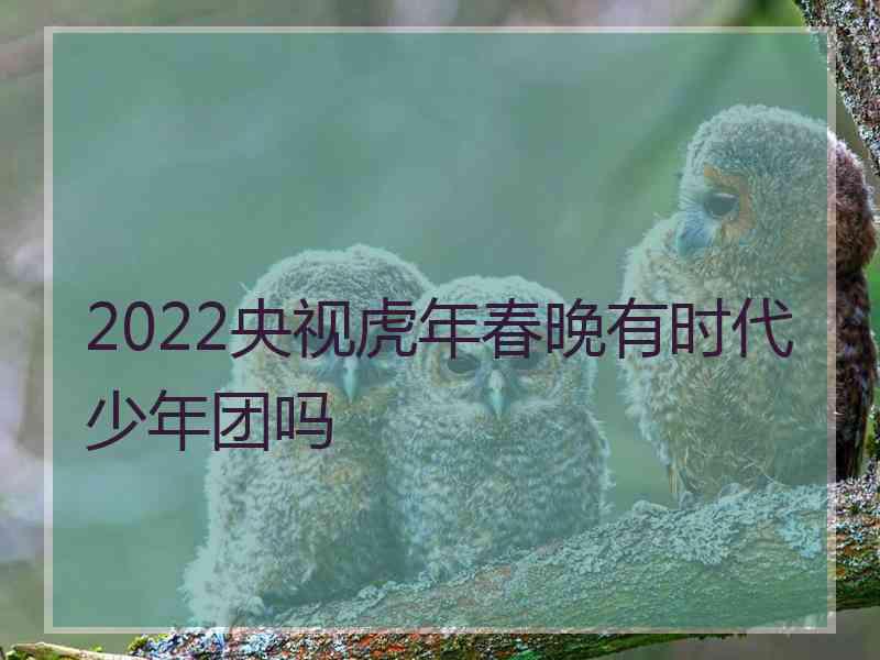 2022央视虎年春晚有时代少年团吗