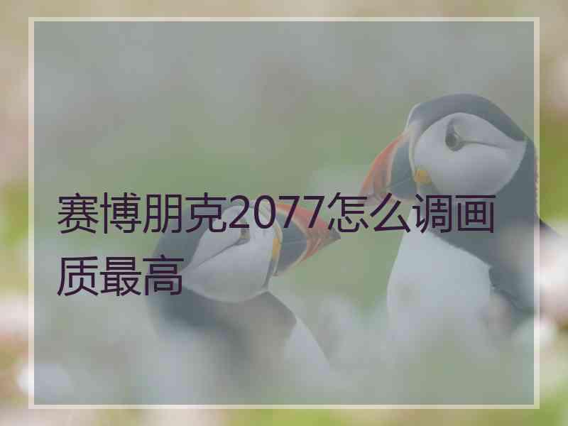 赛博朋克2077怎么调画质最高