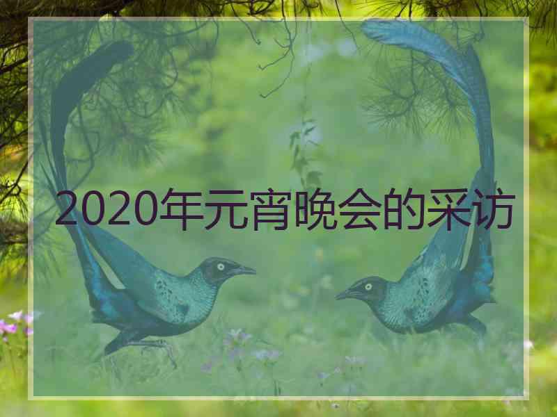 2020年元宵晚会的采访