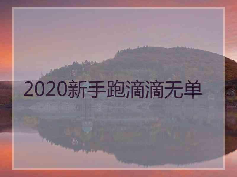 2020新手跑滴滴无单