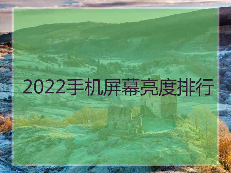 2022手机屏幕亮度排行