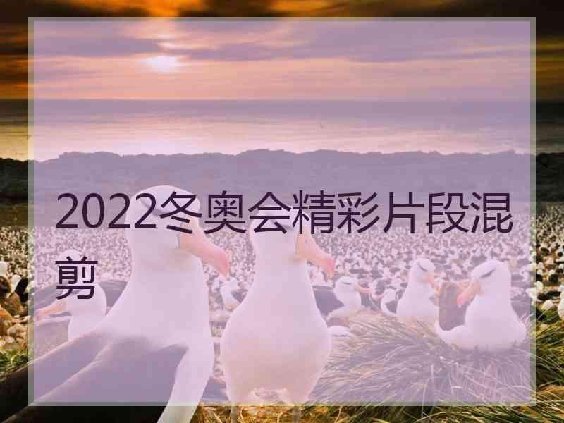 2022冬奥会精彩片段混剪