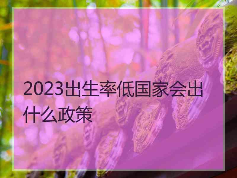 2023出生率低国家会出什么政策