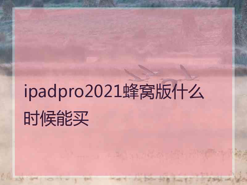 ipadpro2021蜂窝版什么时候能买