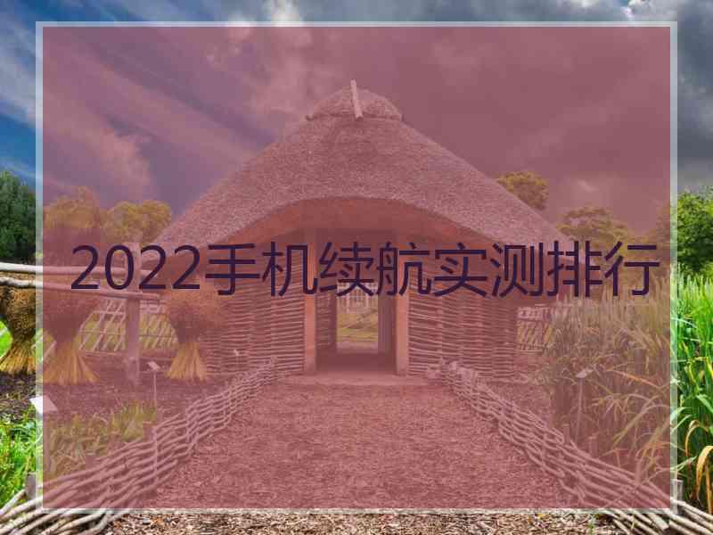 2022手机续航实测排行