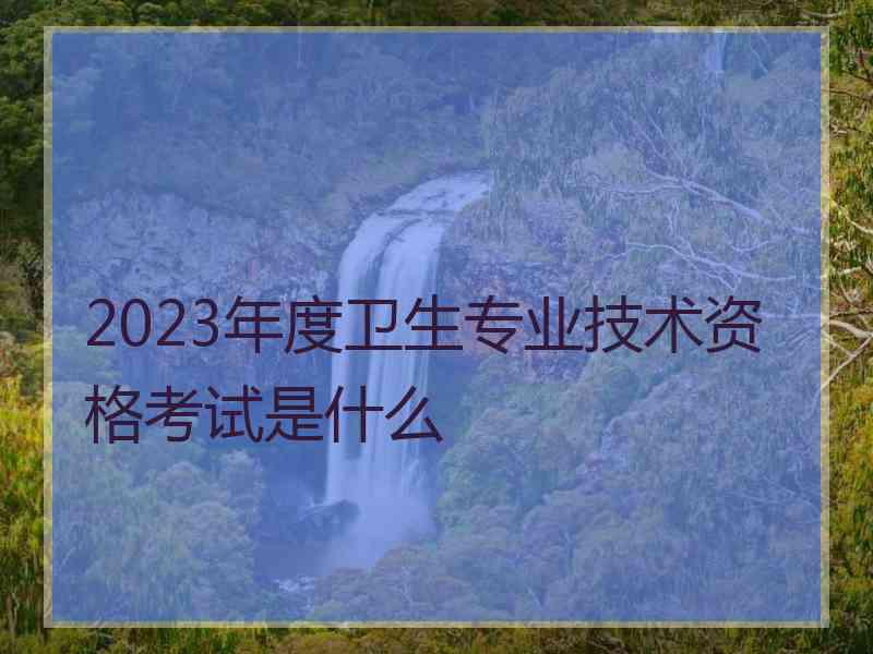 2023年度卫生专业技术资格考试是什么