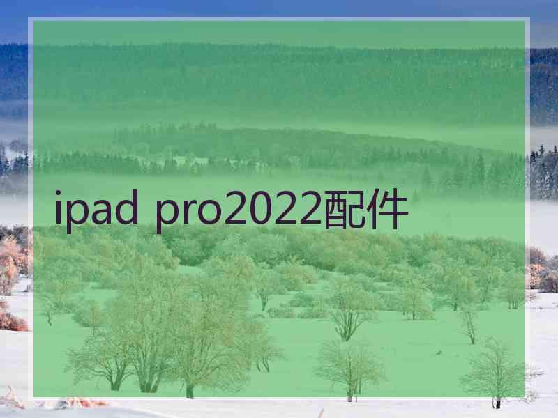 ipad pro2022配件