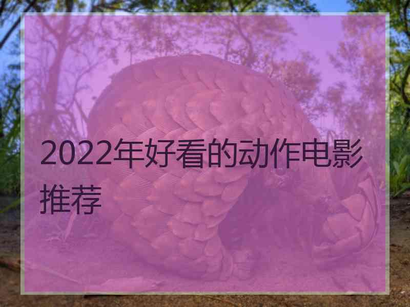 2022年好看的动作电影推荐