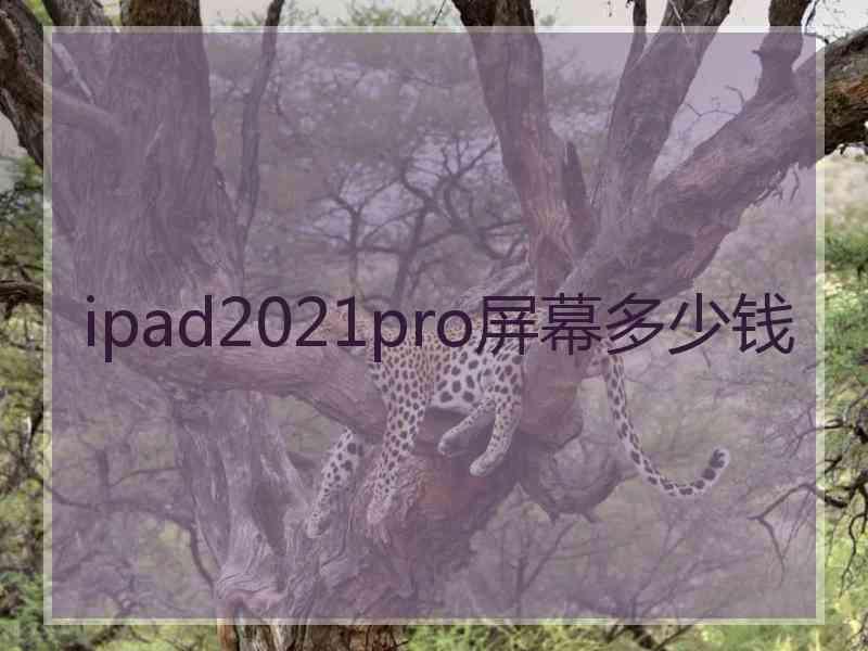 ipad2021pro屏幕多少钱