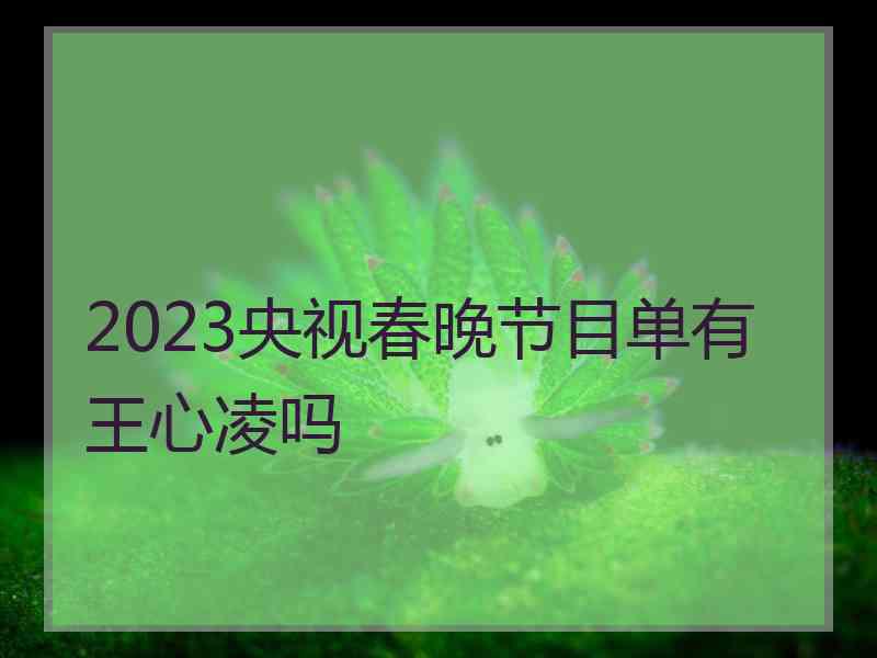 2023央视春晚节目单有王心凌吗