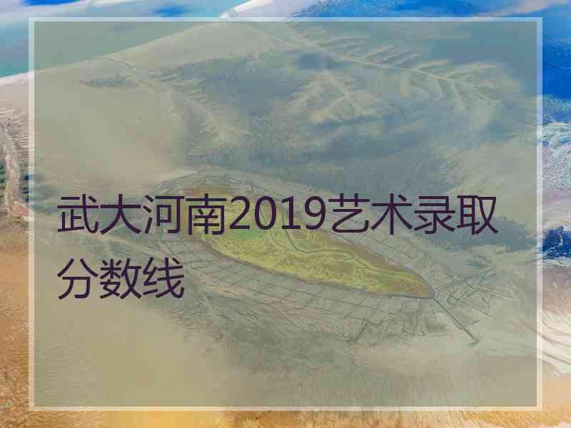 武大河南2019艺术录取分数线