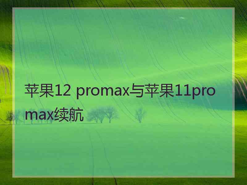 苹果12 promax与苹果11promax续航