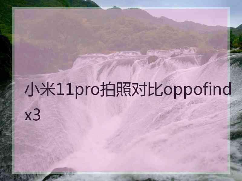 小米11pro拍照对比oppofindx3