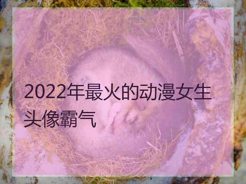 2022年最火的动漫女生头像霸气