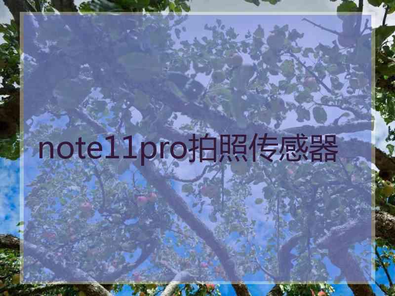 note11pro拍照传感器