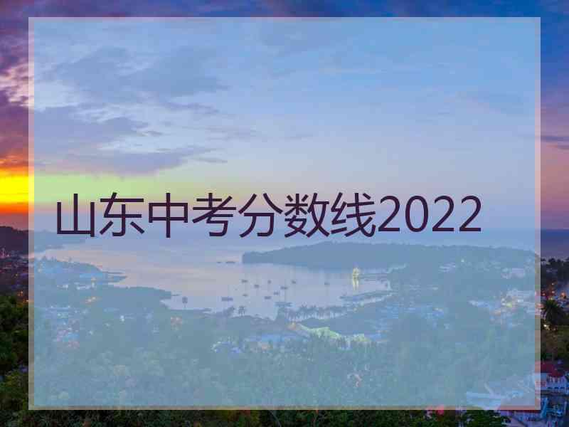 山东中考分数线2022