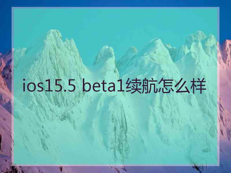 ios15.5 beta1续航怎么样