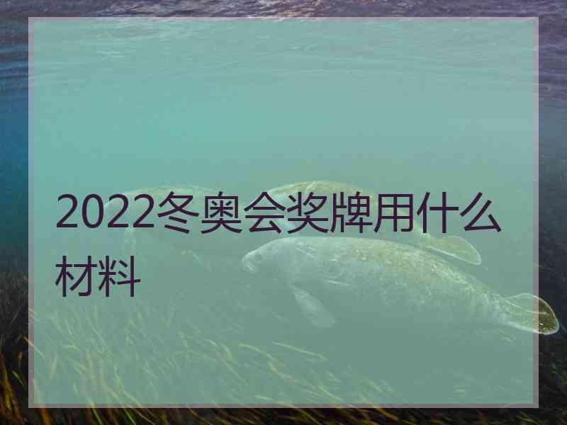 2022冬奥会奖牌用什么材料