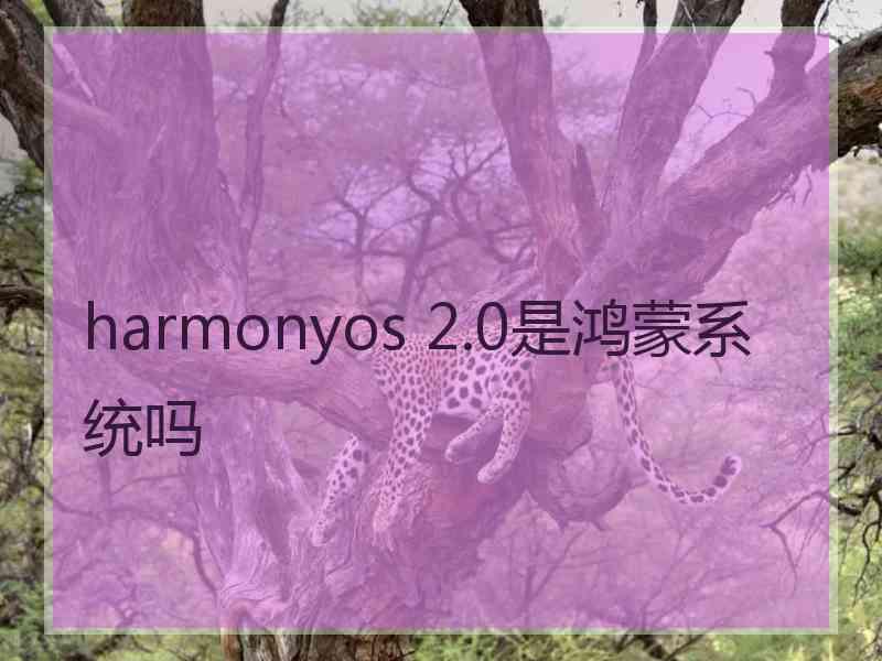 harmonyos 2.0是鸿蒙系统吗