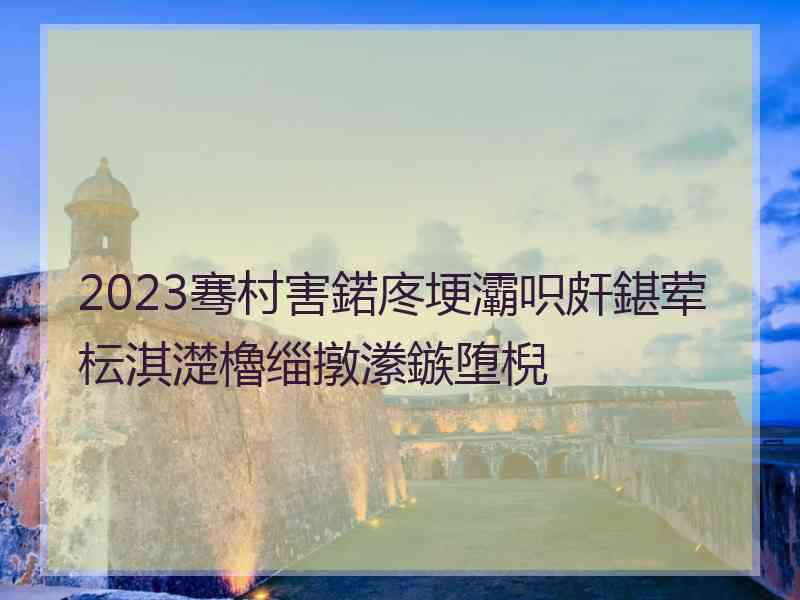 2023骞村害鍩庝埂灞呮皯鍖荤枟淇濋櫓缁撴潫鏃堕棿