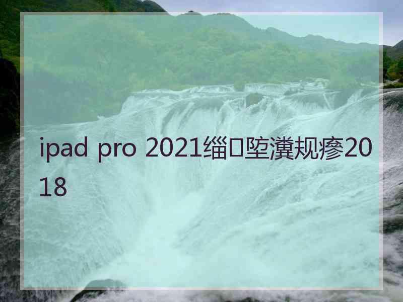 ipad pro 2021缁埅瀵规瘮2018