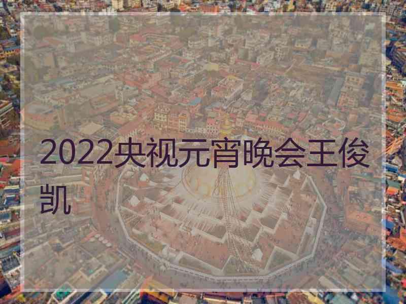 2022央视元宵晚会王俊凯