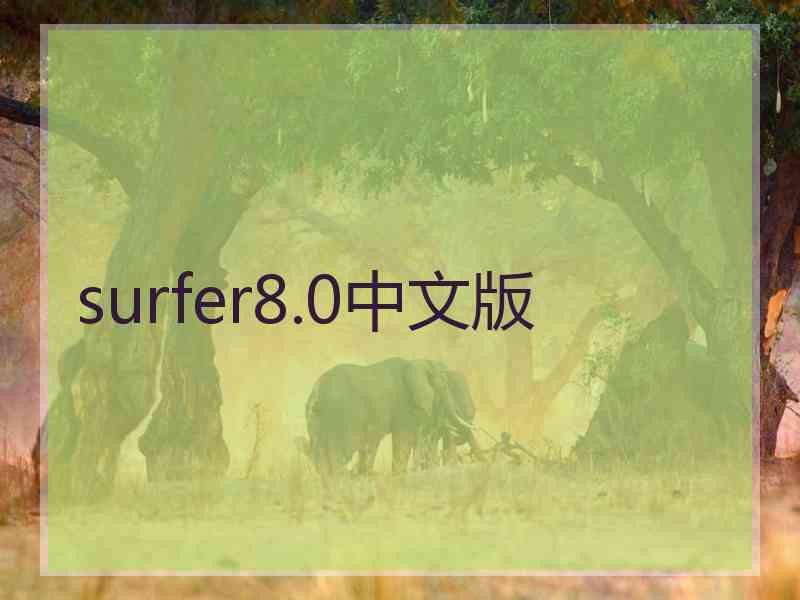 surfer8.0中文版