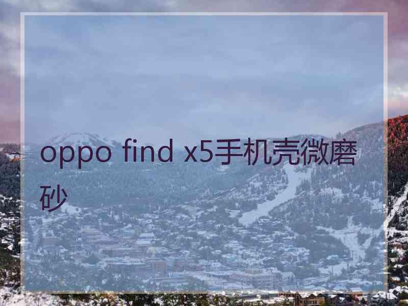 oppo find x5手机壳微磨砂