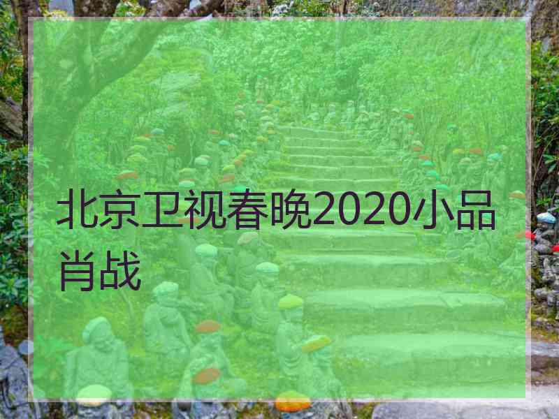 北京卫视春晚2020小品肖战