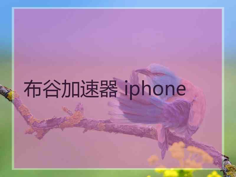 布谷加速器 iphone