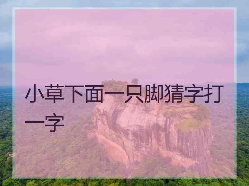 小草下面一只脚猜字打一字