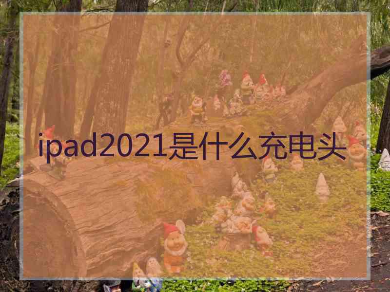 ipad2021是什么充电头