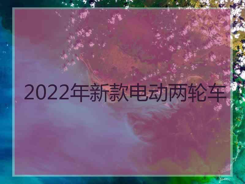 2022年新款电动两轮车