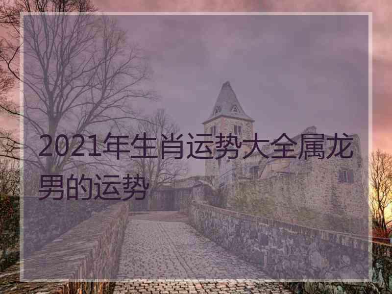 2021年生肖运势大全属龙男的运势