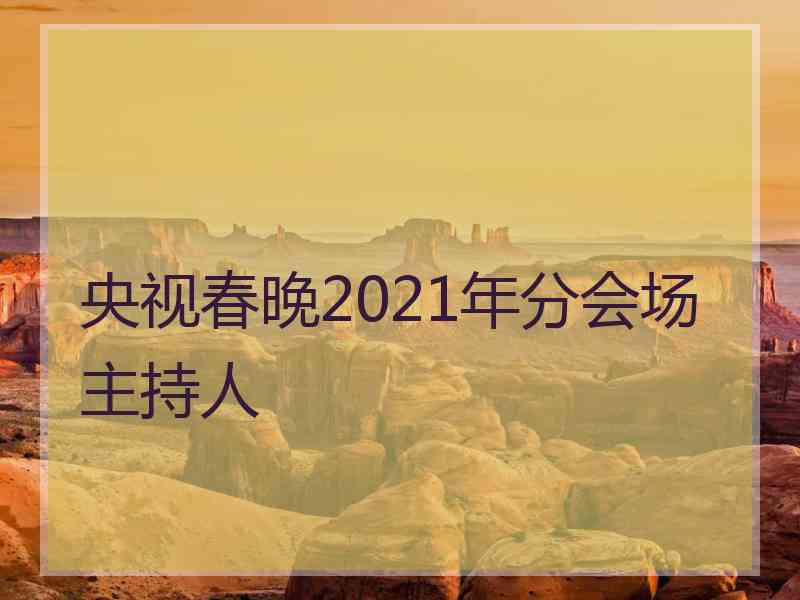 央视春晚2021年分会场主持人