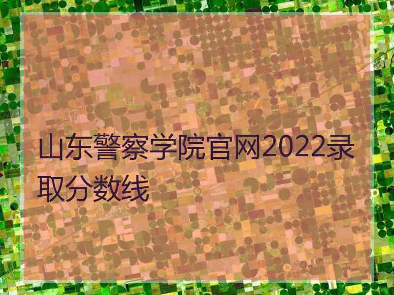 山东警察学院官网2022录取分数线