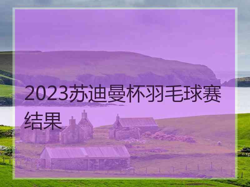 2023苏迪曼杯羽毛球赛结果