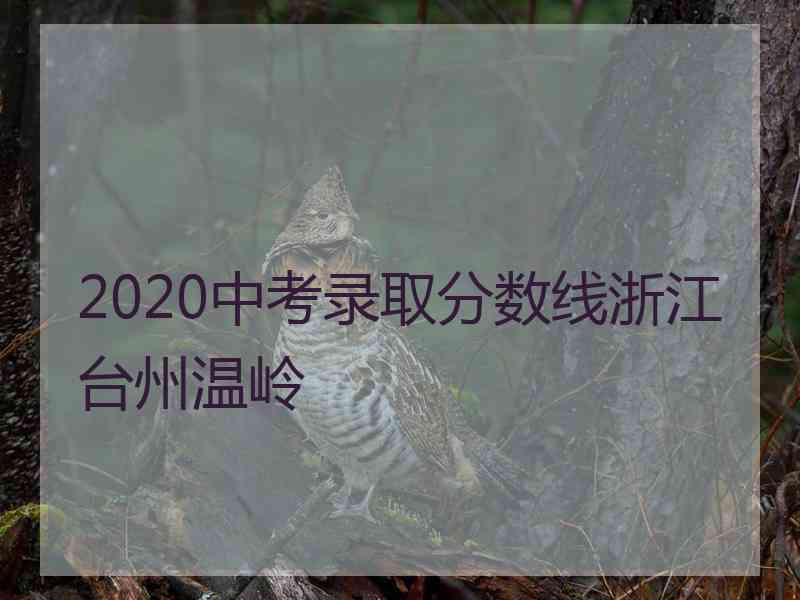 2020中考录取分数线浙江台州温岭