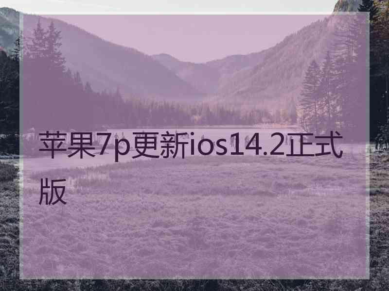 苹果7p更新ios14.2正式版