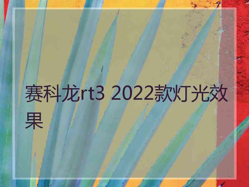 赛科龙rt3 2022款灯光效果