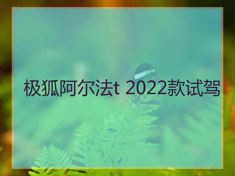 极狐阿尔法t 2022款试驾