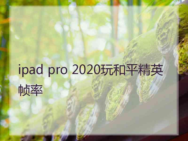 ipad pro 2020玩和平精英帧率