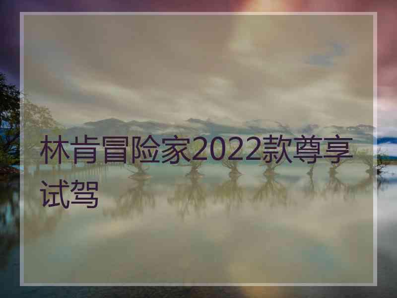 林肯冒险家2022款尊享试驾